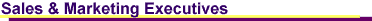 Sales & Marketing Executives